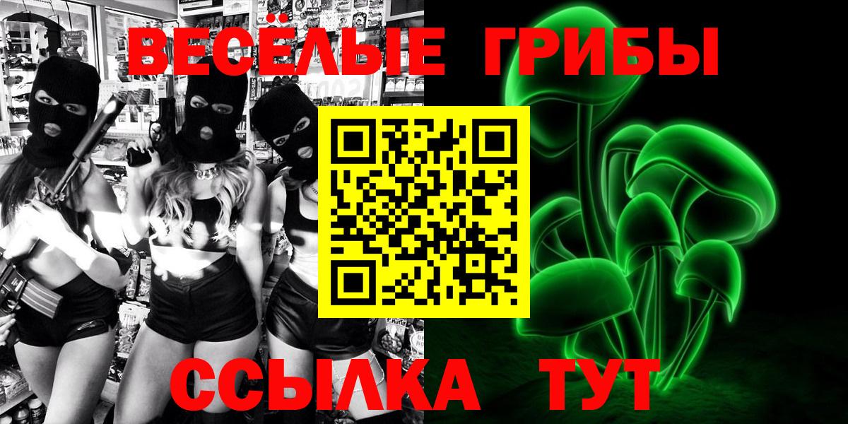 Псилоцибиновые грибы Psilocybine cubensis Шебекино