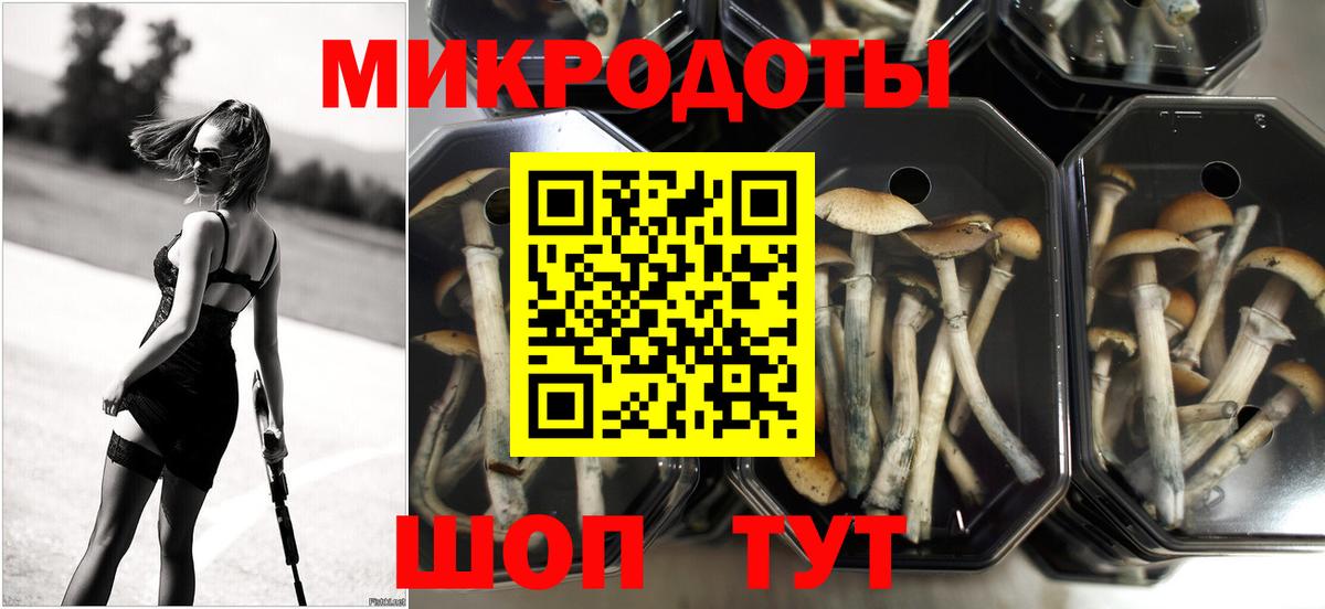 Псилоцибиновые грибы Cubensis  Псилоцибиновые грибы Psilocybine cubensis  Вход с VPN  Шебекино 